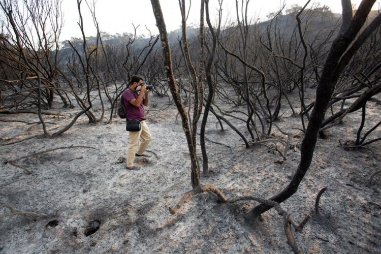 La Junta destina 4,6 millones de euros para actuaciones de emergencia en la zona afectada por el incendio de Sierra Bermeja