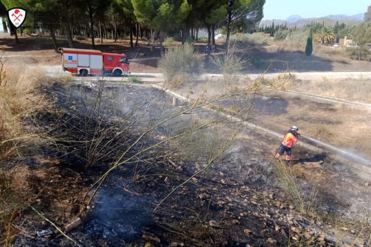 Intentan incendiar, por tercera vez en menos de un mes, el pinar de La Dehesa