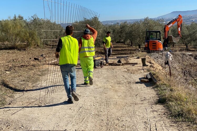 Ronda acondicionará más de 20 caminos rurales con una inversión de 1,4 millones de euros