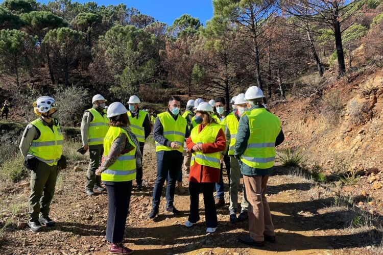 Los trabajos de emergencia de Sierra Bermeja tras el incendio se extenderán durante nueve meses