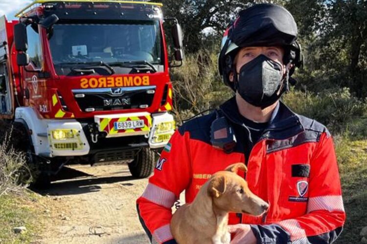 Bomberos rescatan a un perro del interior de una acequia en Ronda