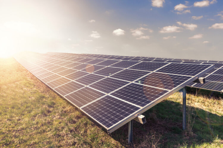 Ronda presenta alegaciones contra todos los proyectos de parques solares