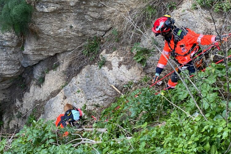 Los bomberos rescatan a un perro que se precipitó por uno de los cortados de los Jardines de Cuenca