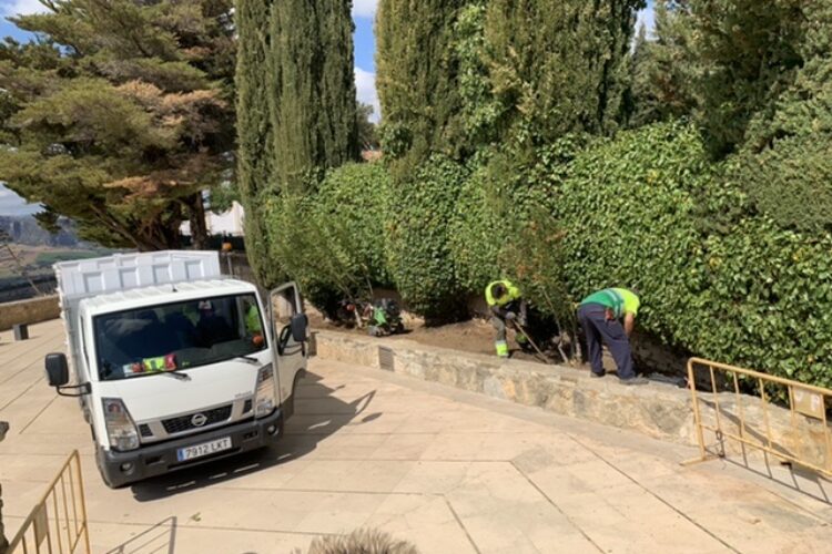 El Ayuntamiento instalará jardines temáticos en varios espacios de la Alameda