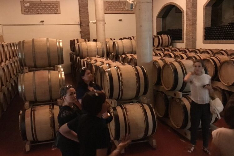 Bodega Doña Felisa inicia en Ronda otro gran proyecto bodeguero con una inversión de 4 millones de euros