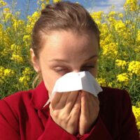 Época de alergias: Se esperan altas concentraciones de granos de polen y gramíneas en la Serranía