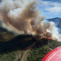 Antonio Orozco, agente de medioambiente: « En un incendio de estas características dificulta en exceso la intervención de la emergencia»