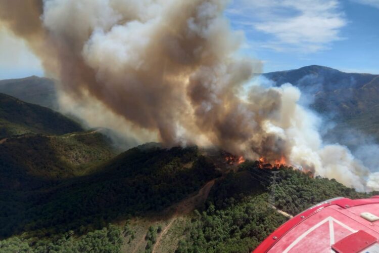 Declarado un incendio forestal en el término municipal de Pujerra
