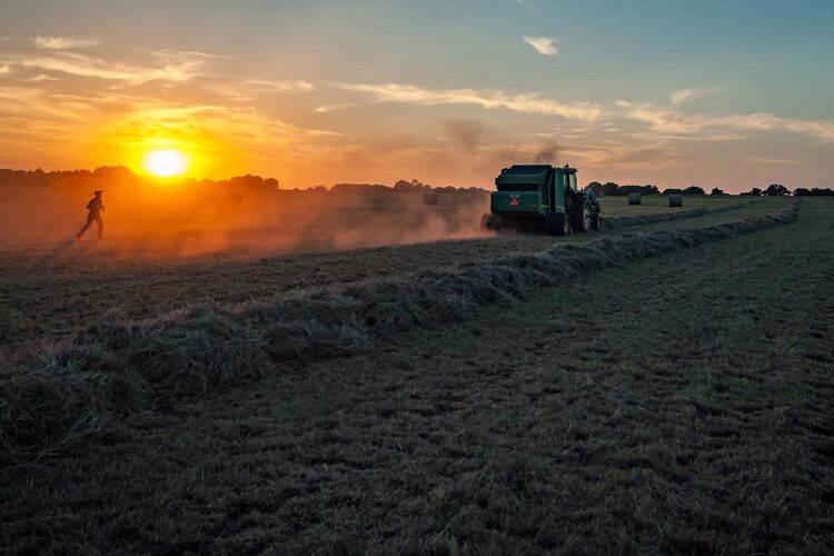 Ayudas al sector agroalimentario y ganadero en toda la provincia de Málaga