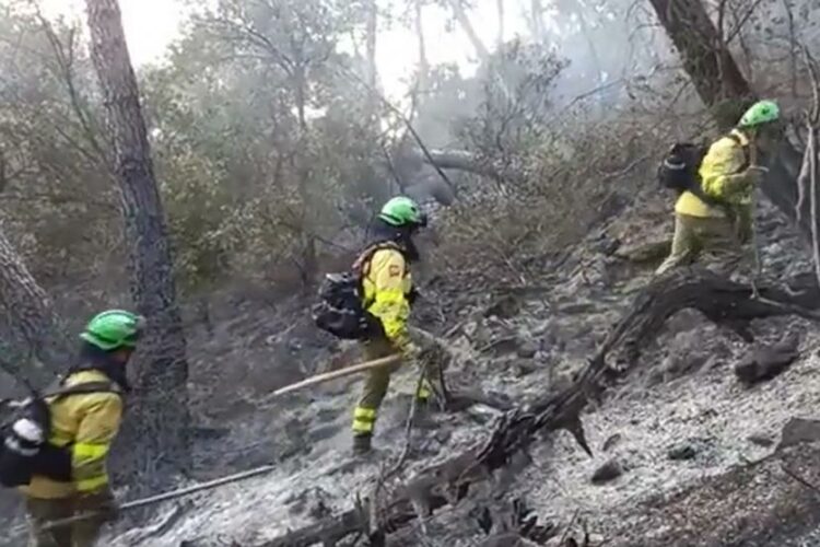 Queda extinguido el incendio de Pujerra tras calcinar cerca de 5.000 hectáreas