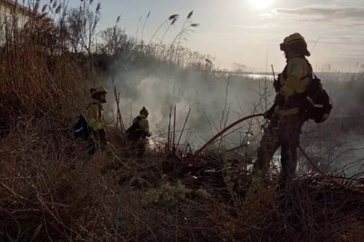 El Infoca trabaja para sofocar un nuevo incendio en Algatocín