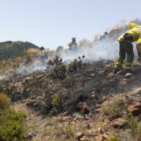 El Gobierno declara zona gravemente afectada a los municipios dañados por el incendio de Pujerra