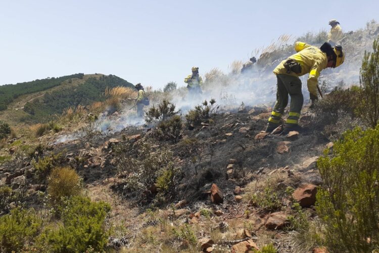 El Gobierno declara zona gravemente afectada a los municipios dañados por el incendio de Pujerra