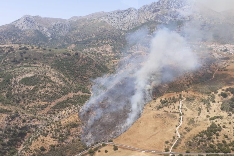 Controlado el incendio en un paraje de Cortes de la Frontera