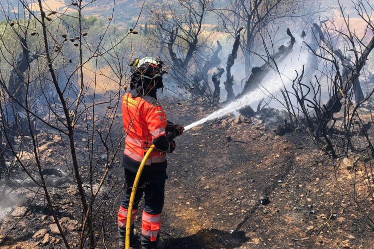 Un incendio calcina 15.000 metros de zona agrícola en las inmediaciones de La Torrecilla