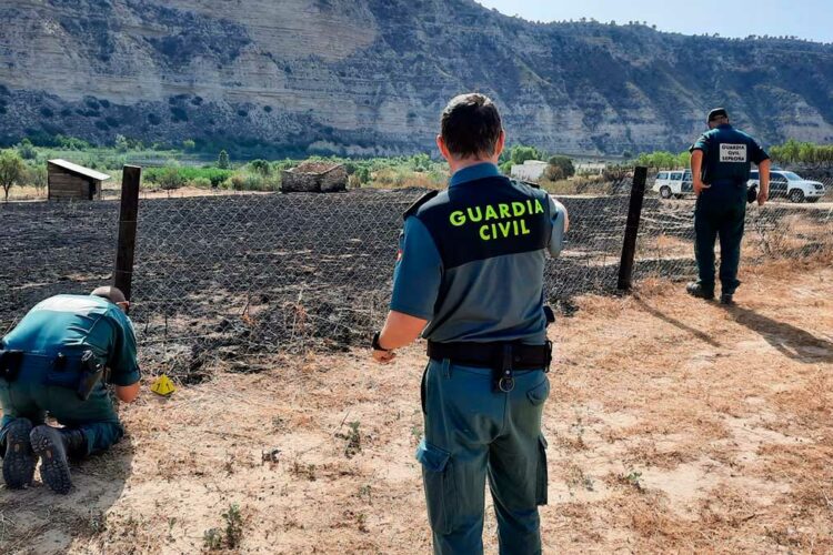 Incendios: La Junta pide que la Guardia Civil refuerce la vigilancia en las zonas forestales