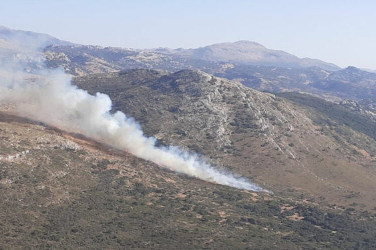 Se declara un incendio forestal en el campo de maniobras ‘Las Navetas’ de Ronda