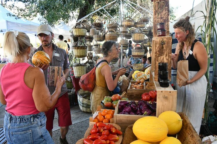 Benalauría vive con gran asistencia de público la V Feria de los Huertos