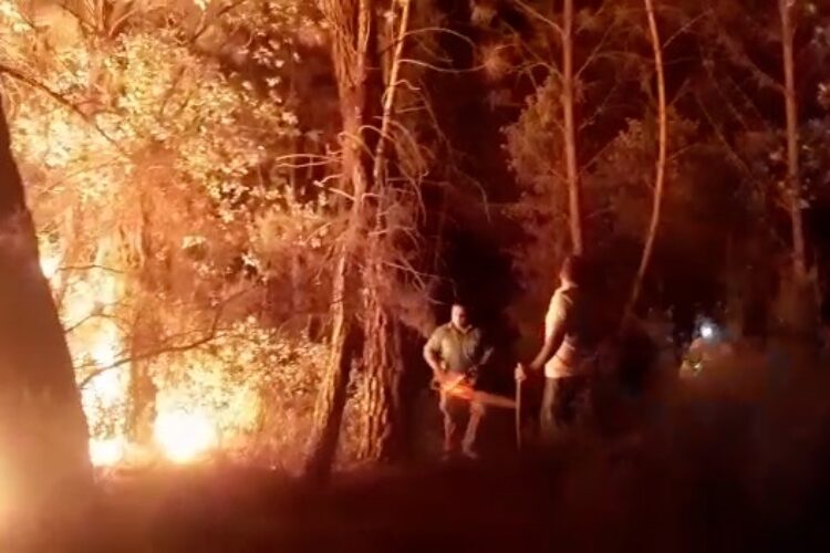 Un grupo de vecinos de Benalauría evita que se propague un incendio forestal