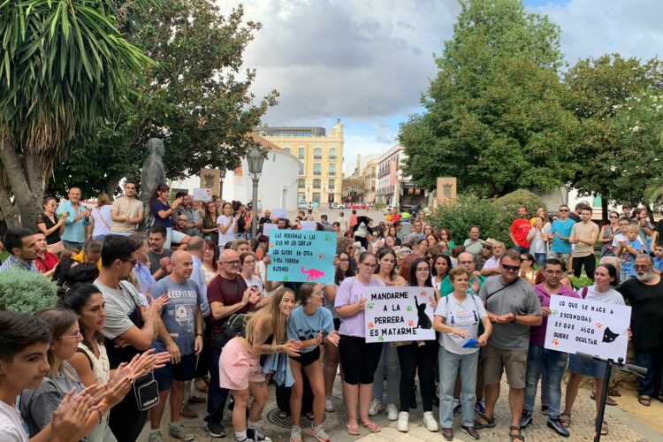 PSOE y animalistas siguen propagando el bulo de la matanza de gatos a sabiendas de que es falso