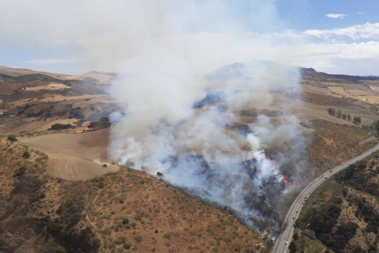 Declarado un incendio forestal en Montecorto tras arder un vehículo en la carretera