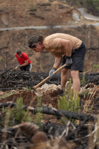 Un voluntario plantando un árbol.