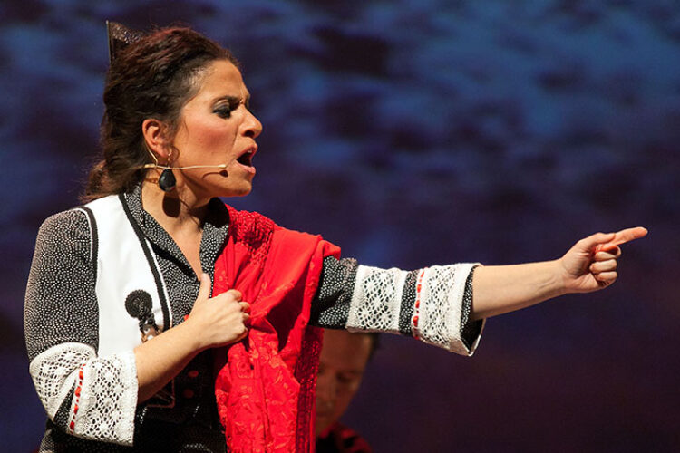 Ronda celebrará el Día del Flamenco con cuatro espectáculos