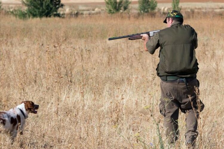 Muere un cazador de Ronda de forma fortuita al recibir un disparo en la cabeza