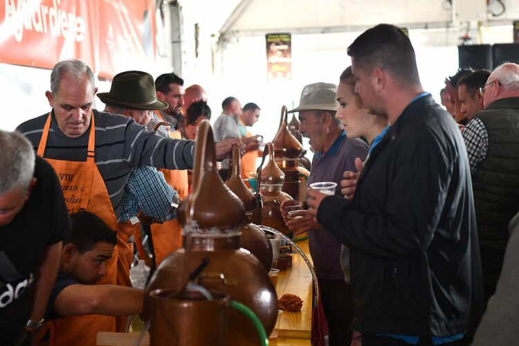 Jubrique celebró con gran animación su tradicional Concurso de Aguardiente