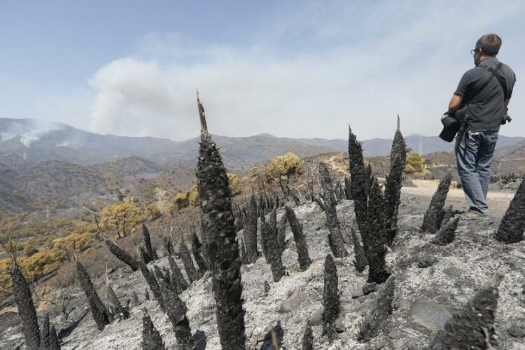 La Diputación destina otros 500.000 euros en ayudas para empresas y explotaciones afectadas por el incendio de Sierra Bermeja