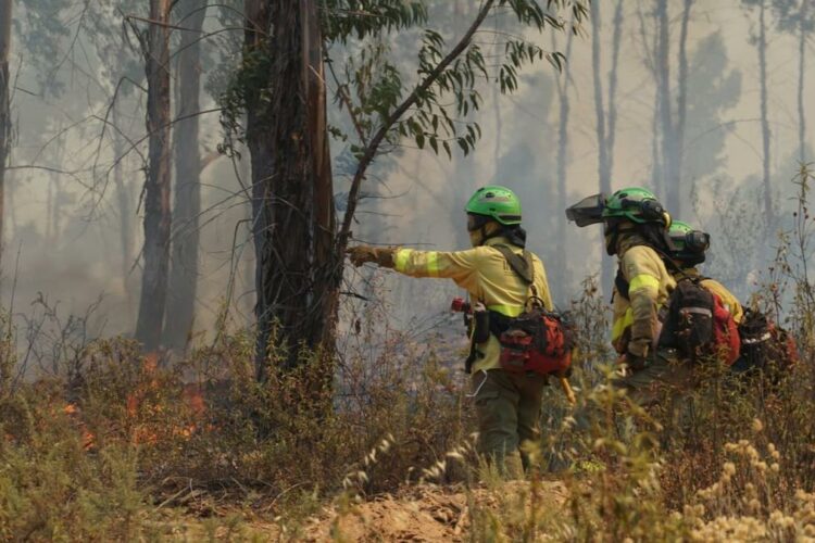 Declarado un incendio forestal en el término municipal de Yunquera