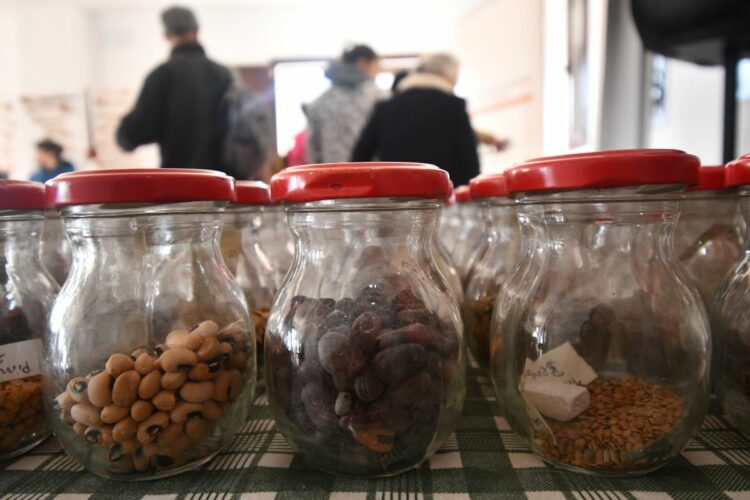 Agricultores y ecologistas realizan un intercambio de semillas autóctonas de la Serranía