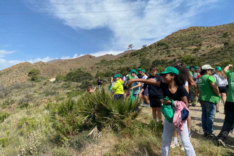 Un centenar de ‘cascos verdes’ reforestan la zona de Sierra Bermeja afectada por el incendio