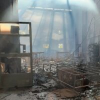 Un incendio calcina una nave de maderas en el polígono industrial de Gaucín