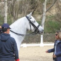 La Real Maestranza de Ronda pone en marcha un curso para jinete-profesor de equitación