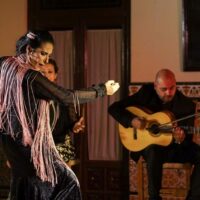 El Centro de Arte Flamenco Rocío Romero ofrecerá el I Festival Flamenco el próximo martes día 13 en el Teatro Espinel