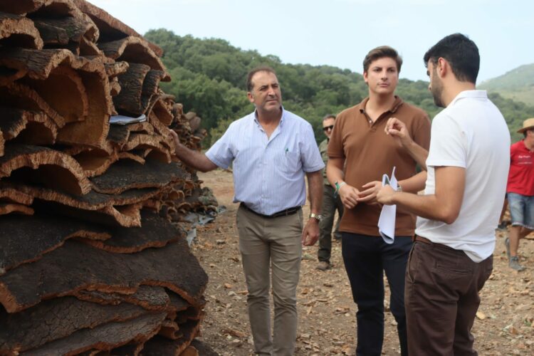 Aplican técnicas de gestión sostenible en la masa forestal de los Montes de Propios de Ronda