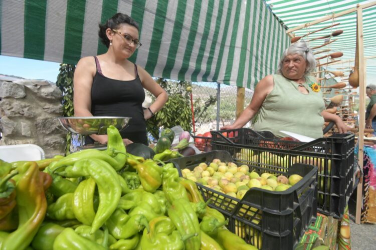 La Fiesta de los Huertos de Las Vegas, en Benalauría, apostó un año más por una alimentación cercana y natural