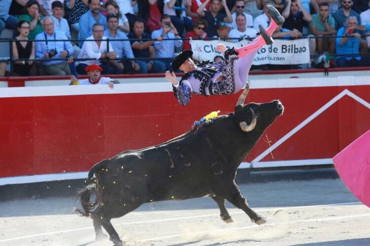 El banderillero Cándido Ruiz se recupera tras sufrir una grave cogida en la plaza de Azpeitia