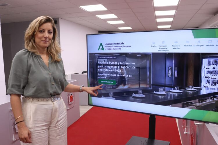 Amplían el plazo para que pymes y autónomos soliciten las ayudas para compensar la subida de la luz y el gas