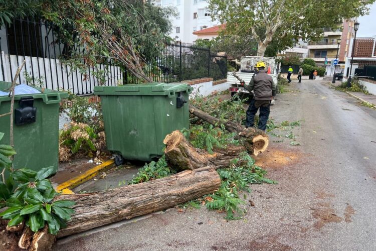 Las rachas de viento de más de 100 kilómetros por hora provocan en Ronda 70 incidencias