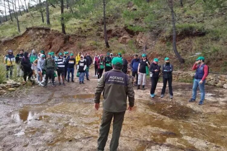 Unos 2.500 voluntarios inician otra fase de reforestación de Sierra Bermeja con la iniciativa Cascos Verdes