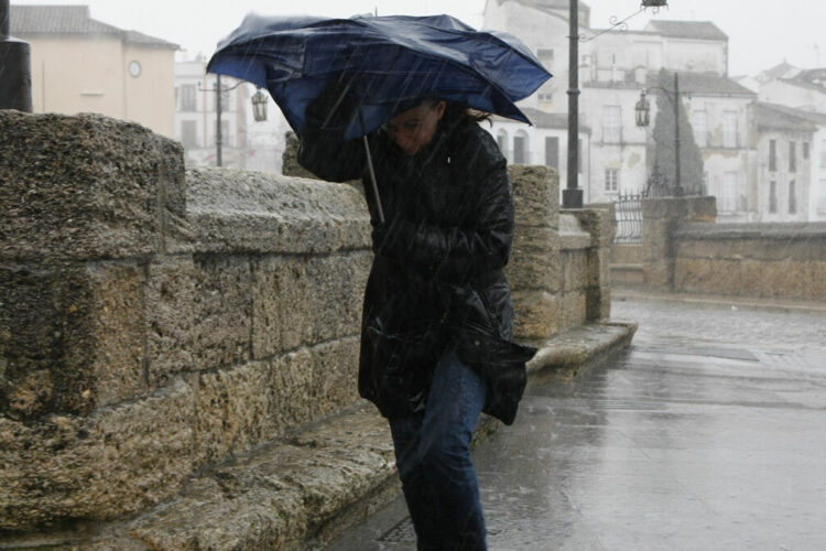 Aemet declara para la tarde de este lunes la alerta amarilla en Ronda por fuertes rachas de viento