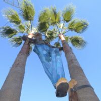 Pujerra instala entre dos palmeras una escultura del artista Ricardo Dávila