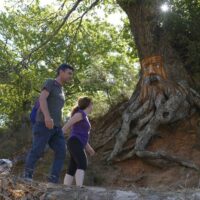 La reservas de casas rurales en la Serranía superan el 80% para la Semana Santa