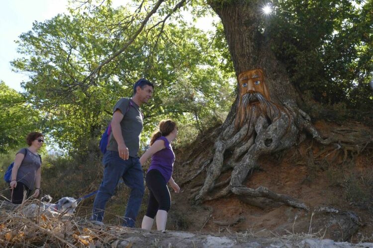 La Diputación financia la ampliación de las figuras del Bosque Encantado de Parauta