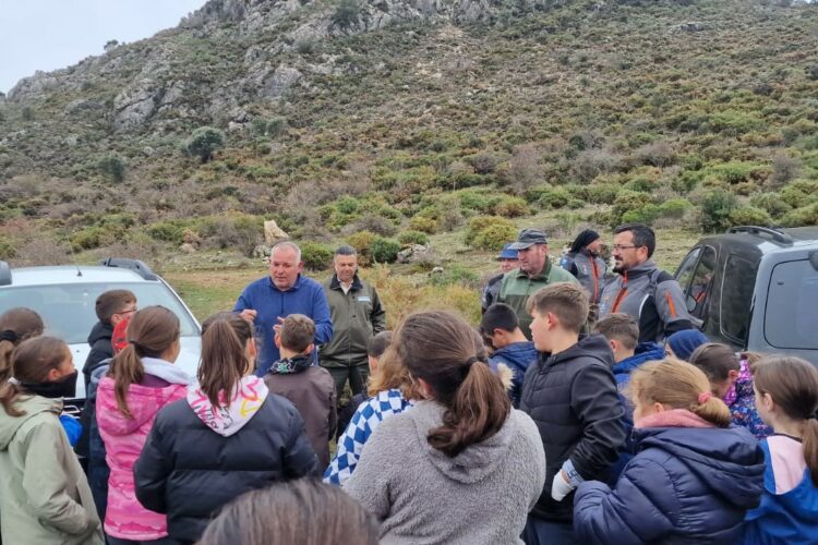 Lanzan más de 4.300 bombas de semillas de pinsapo para repoblar Sierra Bermeja y Sierra de las Nieves