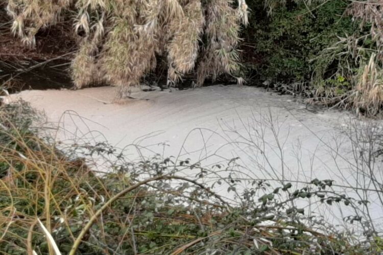 Ecologistas en Acción denuncia el vertido de residuos industriales en el río Guadiaro
