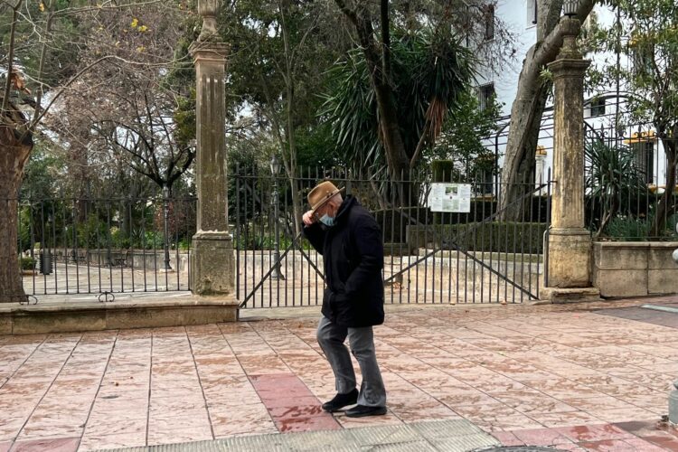 El fuerte viento obliga a cerrar la Alameda del Tajo y el cementerio de San Lorenzo
