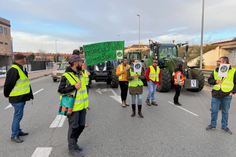 El PP presenta una moción para que Ronda muestre su apoyo a las reivindicaciones de los agricultores